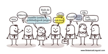 Yeah, this makes more sense than some of the jargon I hear. Image found on The Botanical Linguist.