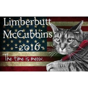 Limberbutt for president! We can trust him! Image found on Limberbutt.com.
