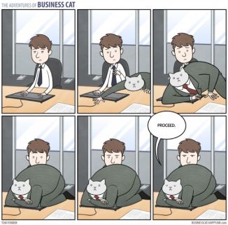 This never, ever happens. Image found on neatorama.