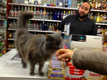 Sorry, I'm gonna have to see some ID ... and some trout. Image found on FlickRiver.