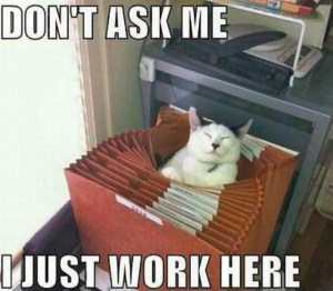 No, you don't get to ask me what I do. Image found on LolRiot.