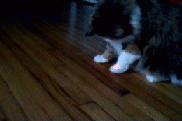 What ... what ... Mommy!!! GIF found on giphy.