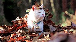 Heyyyy ... how long was I asleep? GIF found on giphy.