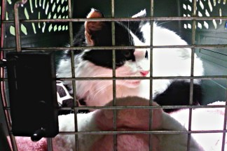 Mom, I will hurt you so much when I get out of here ...