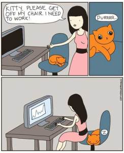 You've heard of seat-fillers at awards shows? Cats do that at home. Image found on aintviral.