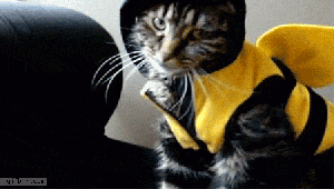 Aaaaaannnnd ... that's enough of that, folks! GIF found on GifBin.