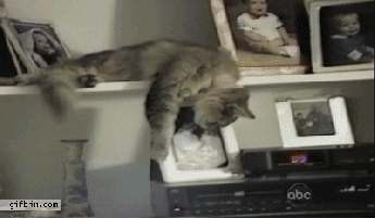 We've all been there ... and it always seems to happen when you're at the best part of the dream. Waking up on the floor is not the best wake-up call. GIF found on GifBin.