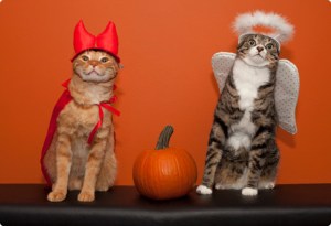 I'm suddenly wondering if this was taken on a boat ... or perhaps a banking airplane ... Luke would definitely be the one in red. Image found on CatClub.