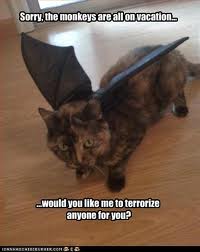 Let me just go get my list ... Image found on FunnyPictureClip.