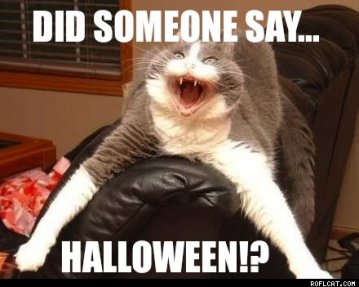 OK, fine, I won't put a costume on you ... spoil all my fun ... Image found on roflcat.com.