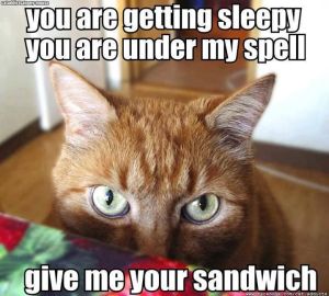 But take the lettuce off first. Image found on Pinterest.