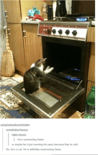 How'd the cat get the oven door open? Satan. Image found on BuzzFeed.