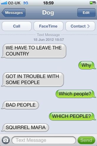 The dog knows what's up. Never trust a squirrel. Image from "Texts from Dog" found on Pinterest.