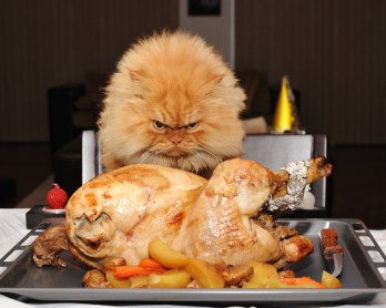 I don't know what you're eating, but this is all mine! Image found on Huffington Post.