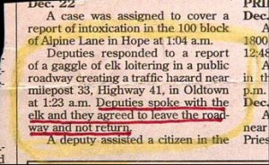 We actually got a letter last week from someone who believed the sports editor and his "elk" were belittling people ... these elk obviously weren't a part of that. Image found on 11 Points.