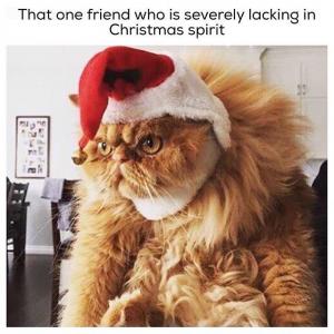 There's always one. Image found on Kappit.