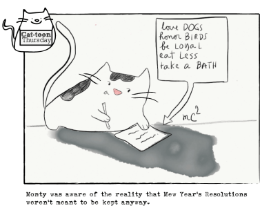 My resolution: Be realistic. Image found on mayacalica.com.