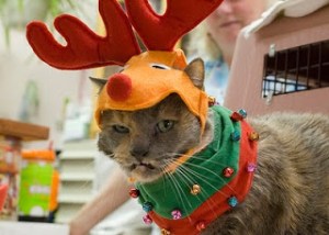 Santa, wanna put coal miners back to work? These idiots need a crap-ton of it in their stockings! Image found on Arolew.