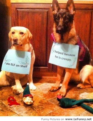 Hey, I can't blame these guys ... at least now I don't feel like I'm being watched ... except by the big evil cat. Image found on lefunny.net.