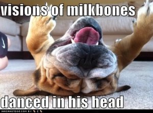 That explains the drool ... Image found on Daily Kos.