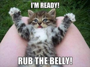 Exactly three rubs, though, then I'll bite you. Image found on The Wondrous.