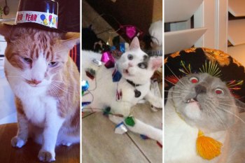 I resolve to never again do whatever the hell that was. Image found on TheFW.