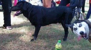 There's always that one guy ... Image found on Tumblr.