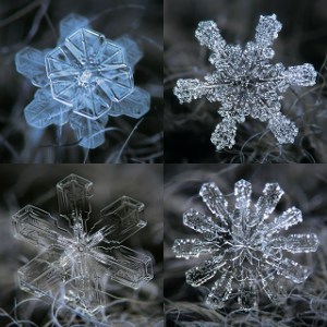 Now these are special snowflakes, and they don't need cocoa, coloring books or cocoa. Image found on The Keys to December.