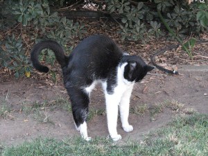 I've been stuck like this ever since some creepy orange guy tried to grab me ... help! Image found on The Simple Gym.