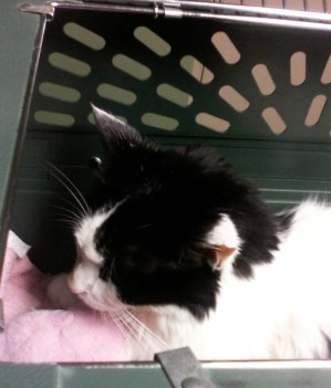 You and the good doctor will regret this, Mom.