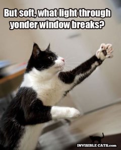 I calleth dibs! Image found on weheartit.