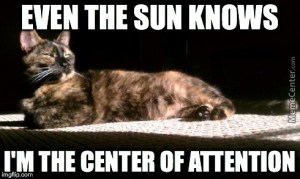 Of course you are, sweetie. You're also in the center of the walking path, so shift it unless you want to be stepped on. Image found on MemeCenter.