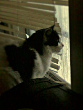 There's stuff out there, Mom. You should stay in here with me and not go to work.