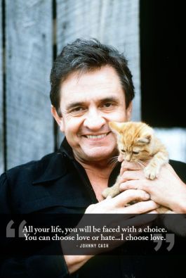 Of course, you knew I'd figure out how to get a cat in here. Wise words, Johnny. Image found on Pinterest. 