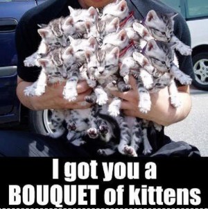 Best. Valentine's Day. EVER. Image found on Indulgy.