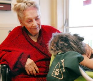 You know that saying, "Everything's better with bacon"? Maybe that should be "bunnies." Image found on AL.com.