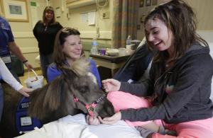 I've got a bit of a cold right now, but I'll spare you the "little hoarse" jokes. Image found on JournalStar.