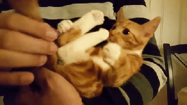 No pacifier? No problem! I gotta do something to feel better. GIF from YouTube video made on giphy.