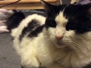 Why did I have to be awake for this insanity? Is it not enough that I live with you?