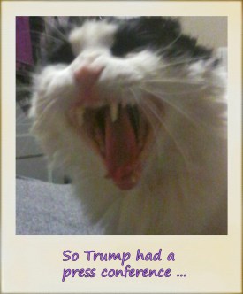 Don't know why the boy was so upset ... and Lord, do his teeth need to be cleaned ... Photo enhancement done on BeFunky.