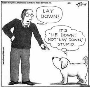Oh, Lord, don't let this be the start of another "lay/lie" debate on the Voices page ... Image found on memes.com.