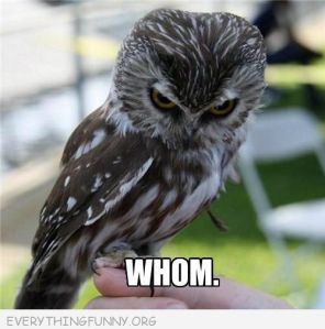 Calm down, dude. It depends on usage! Image found on Pinterest.