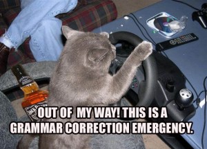 C'mon, Grandma! Move it! Image found on CatMacros.