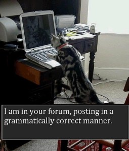 If only more cats would do this, I would have a lot less stress on comment boards. Image found on GrammarBlog.